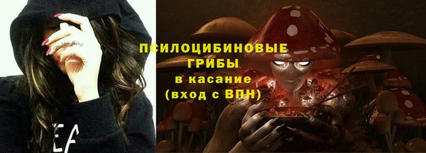 сатива Карталы