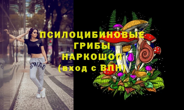 сатива Карталы
