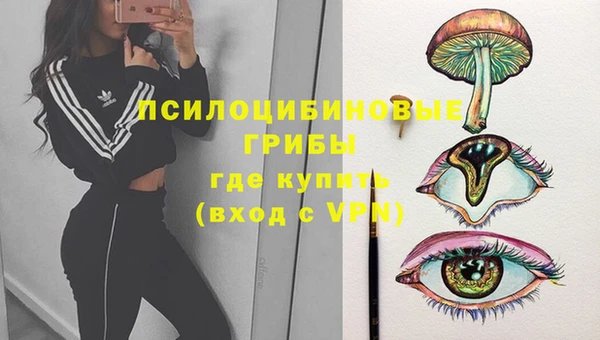а пвп мука Карпинск