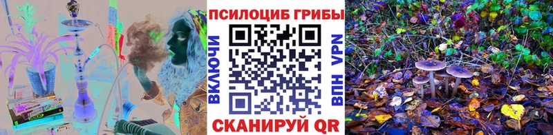 Купить  Болотное  Псилоцибиновые грибы MAGIC MUSHROOMS 